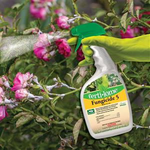 16116 Fungicide 5 RTU lifestyle